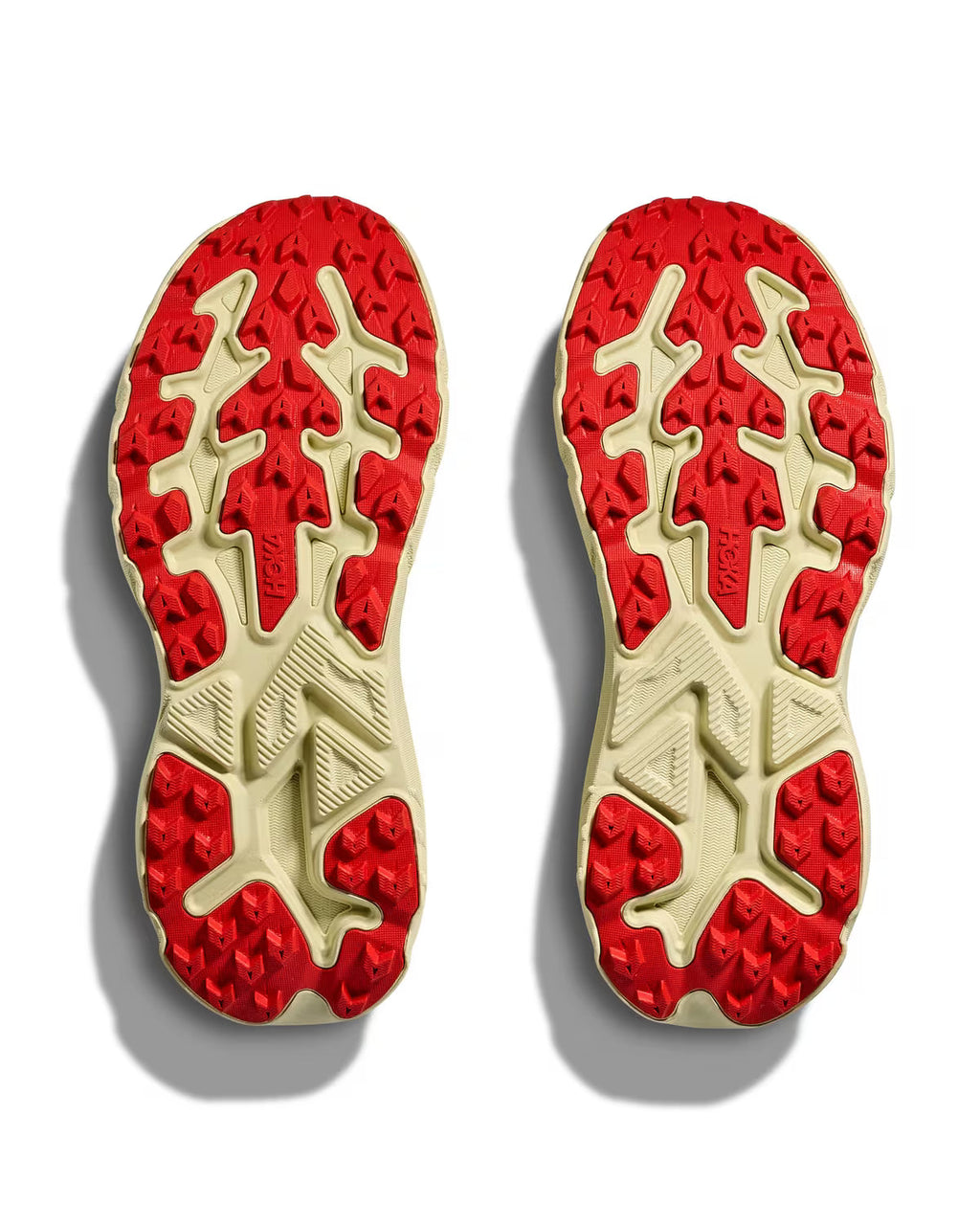 Women's Challenger 8 - Tidal Wave/ Pampas Grass