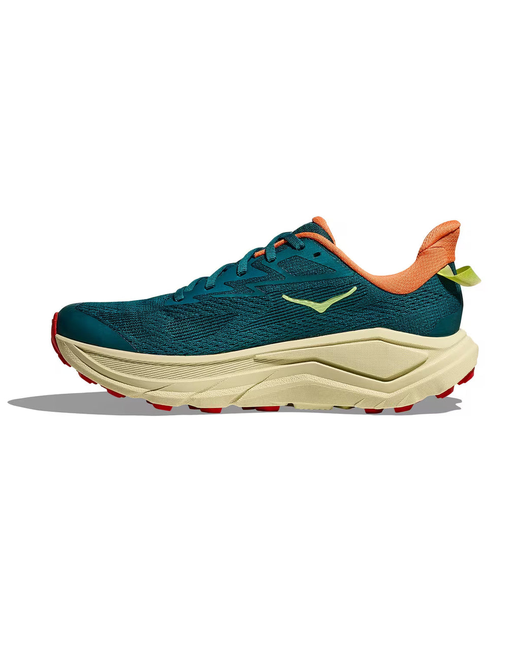 Women's Challenger 8 - Tidal Wave/ Pampas Grass