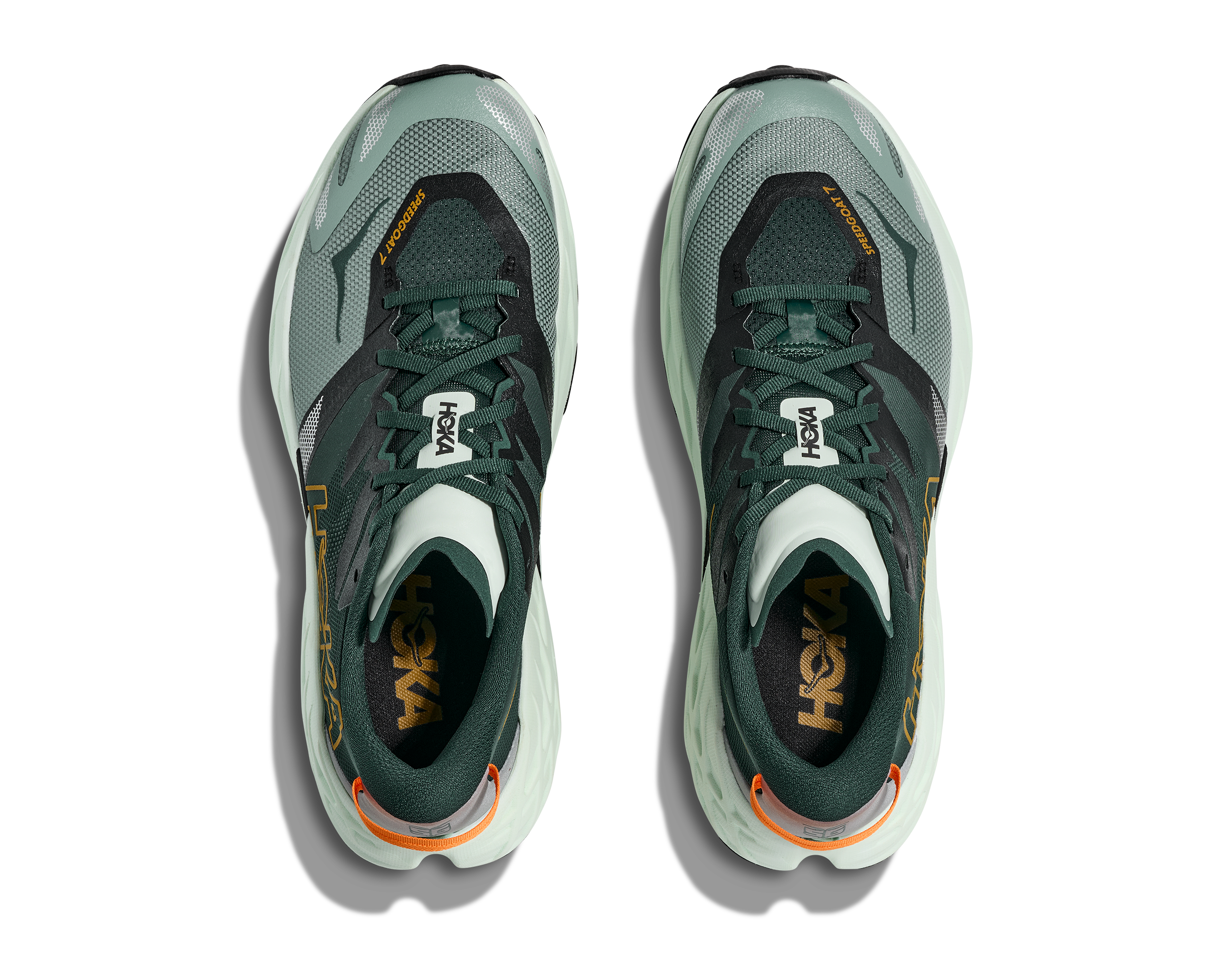 Men's Speedgoat 7 Wide - Bay Leaf/ Sea Glass