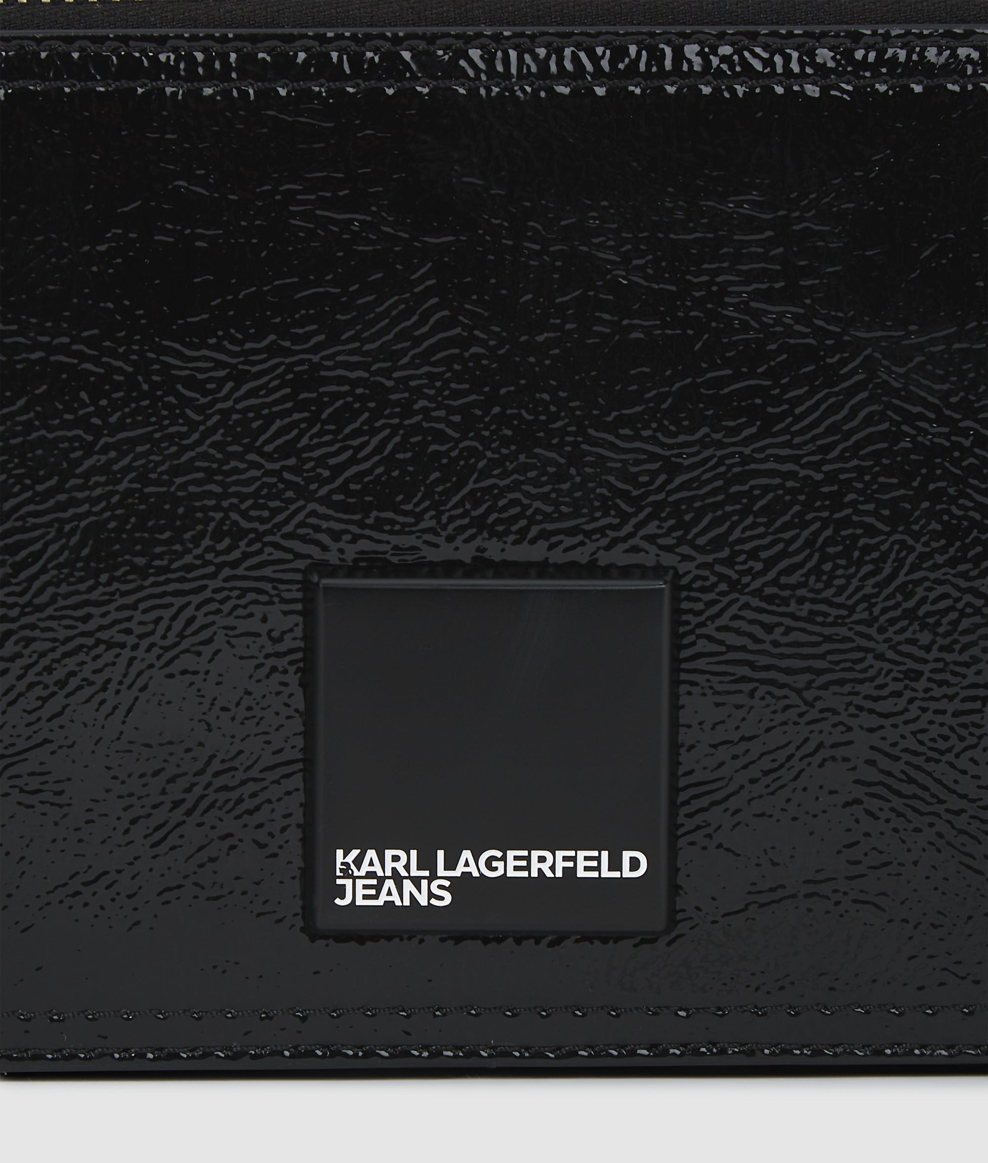 Glossy camera bag