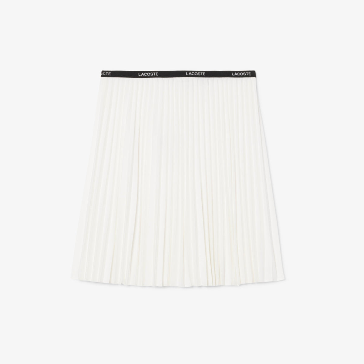 Short Pleated Skirt