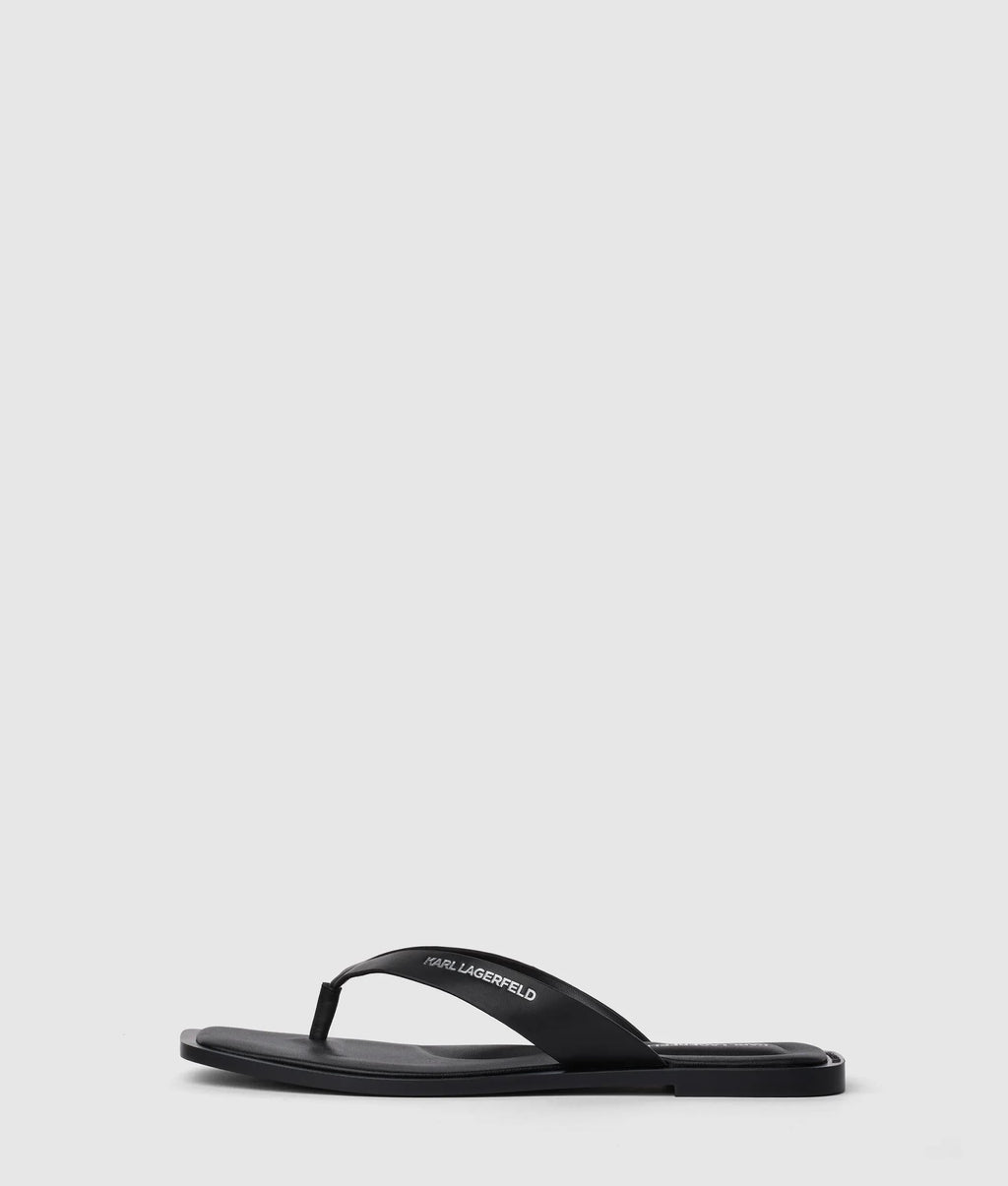 Kastor IV slides
