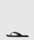 Kastor IV slides