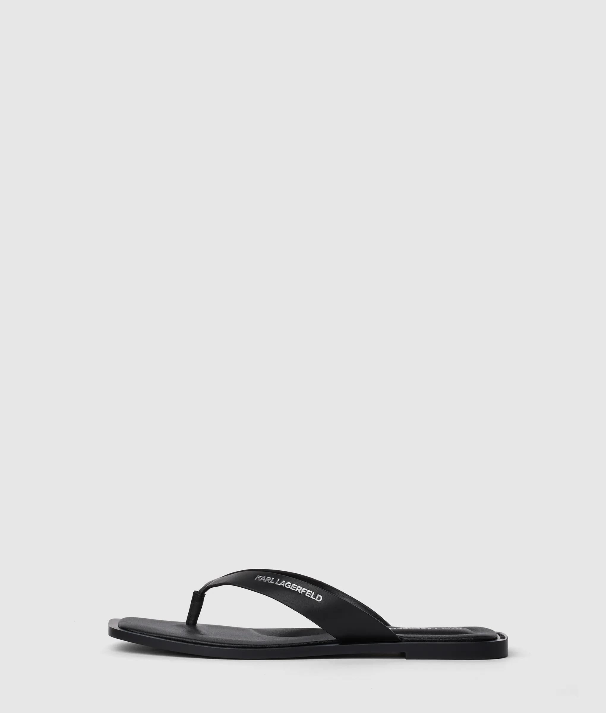 Kastor IV slides