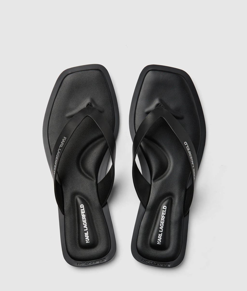 Kastor IV slides