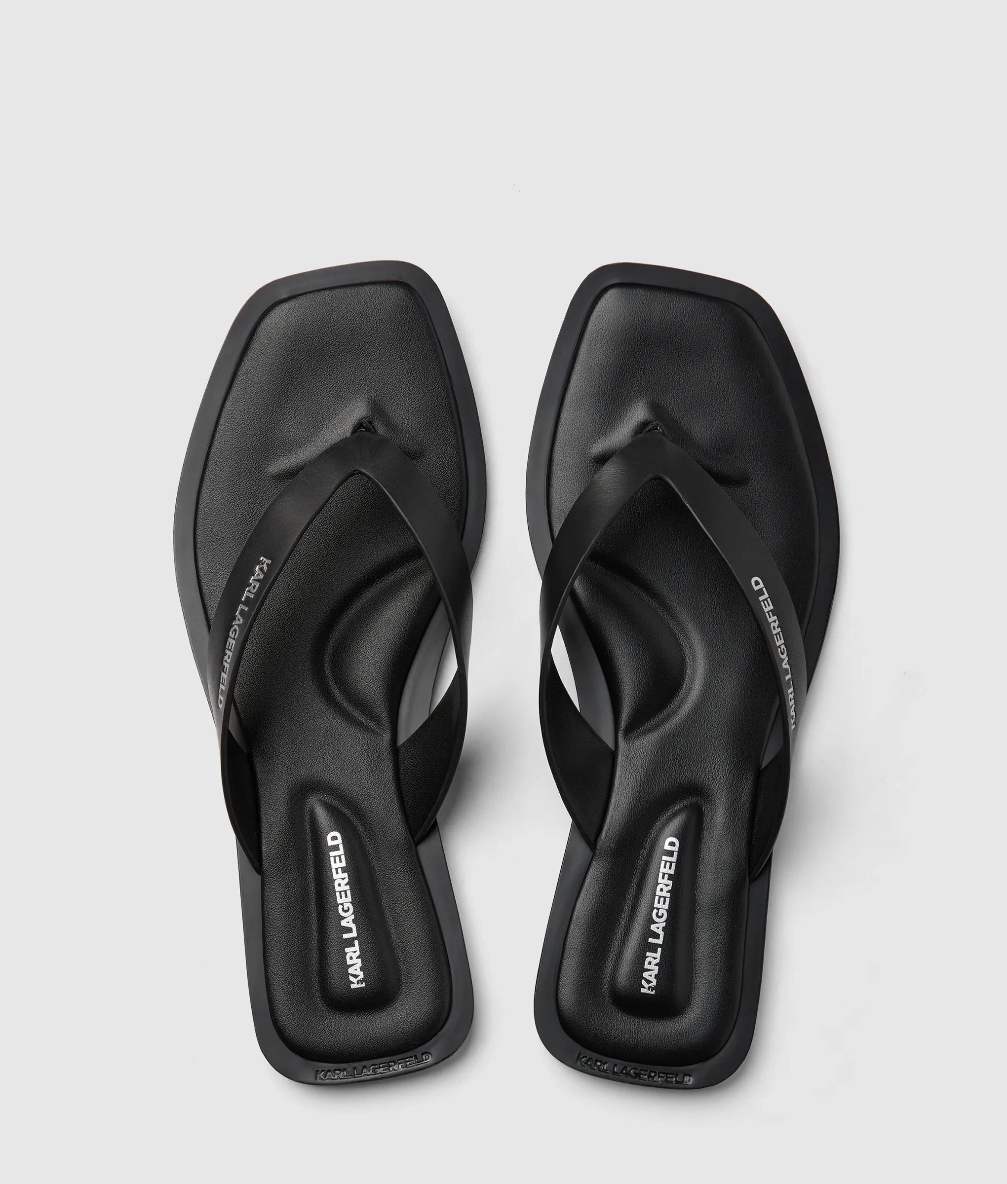 Kastor IV slides