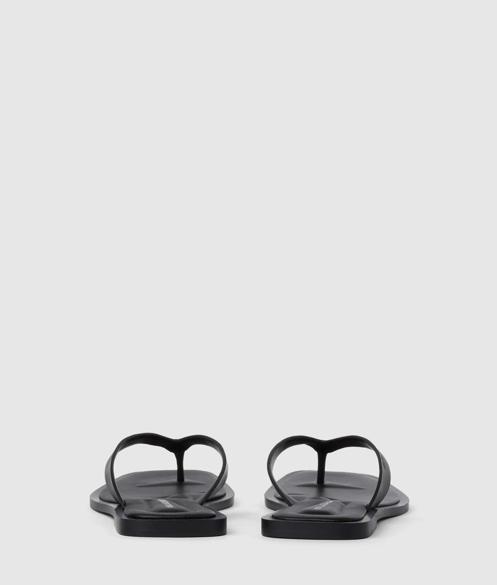 Kastor IV slides