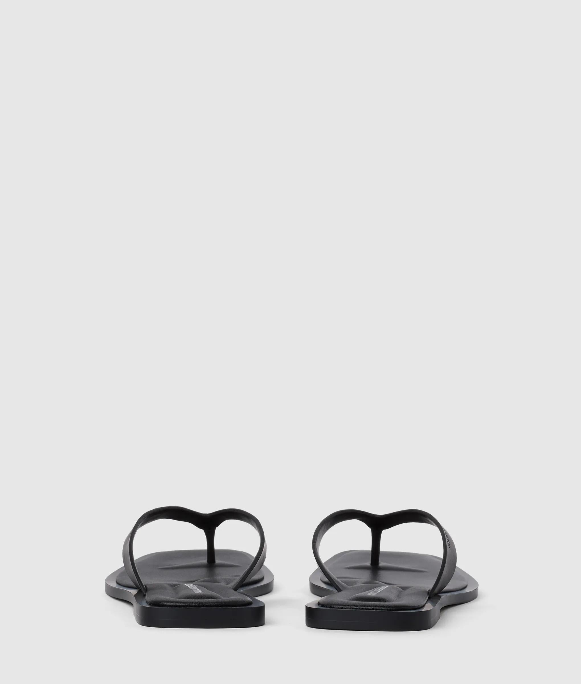 Kastor IV slides