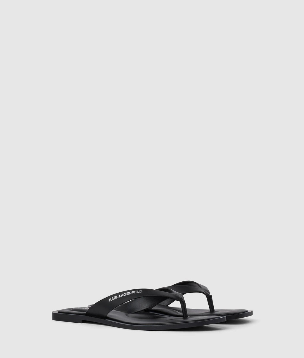Kastor IV slides