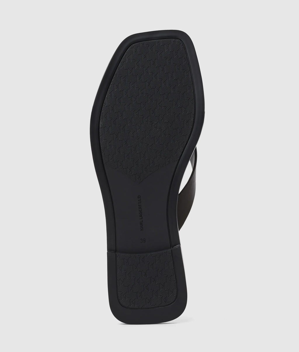 Kastor IV slides