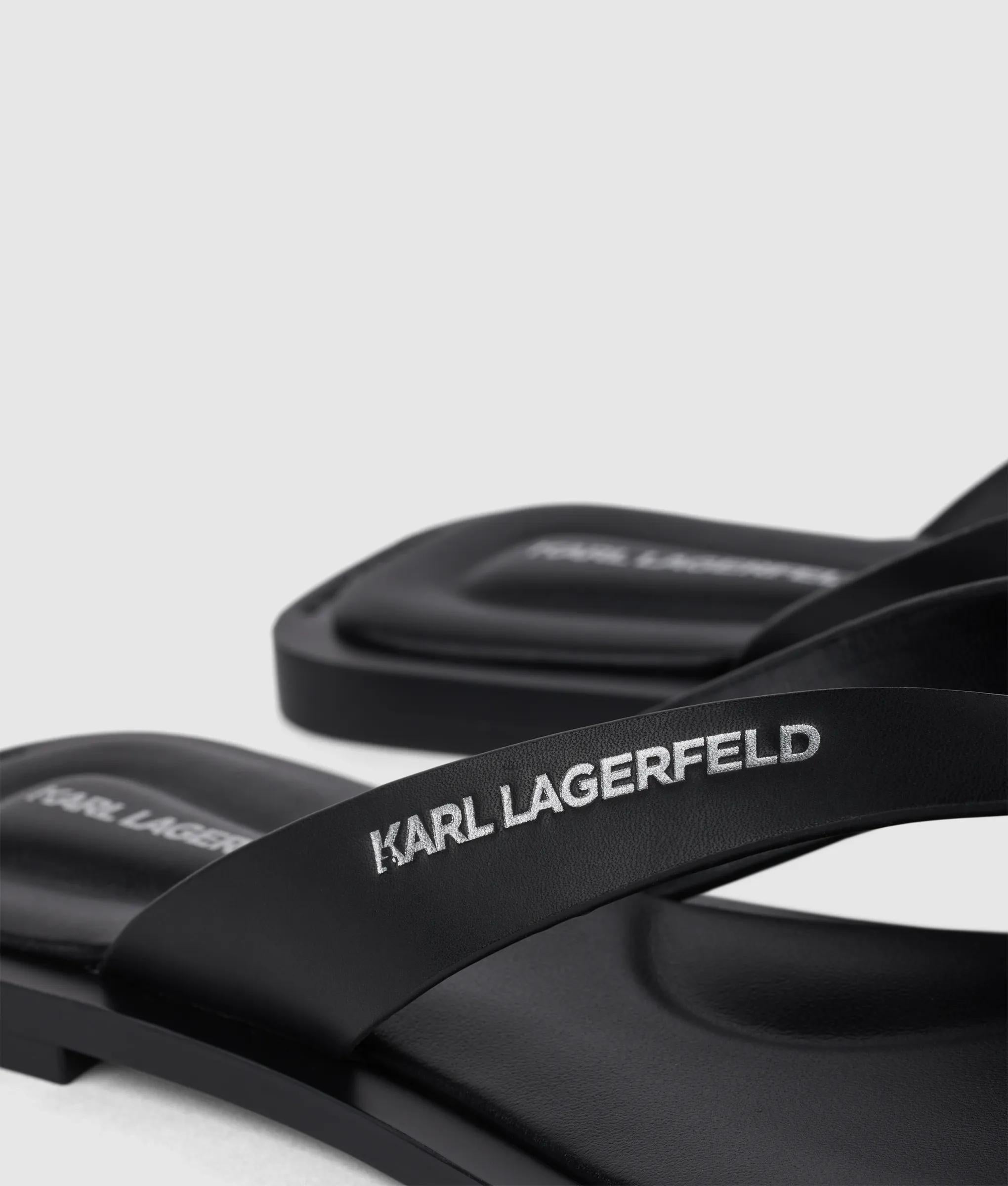 Kastor IV slides