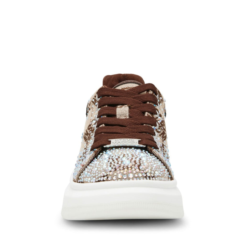 GLIDER-SMR BROWN