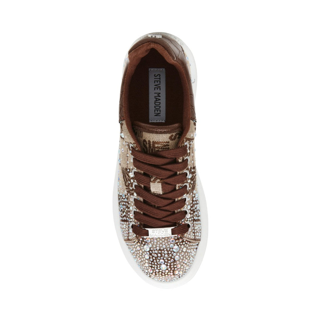 GLIDER-SMR BROWN