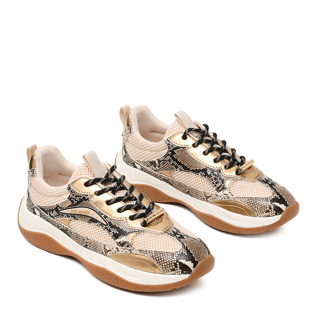 PREMIO LIGHT BRONZE