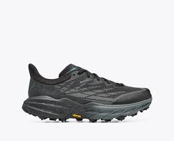 Men's Speedgoat 5 GTX