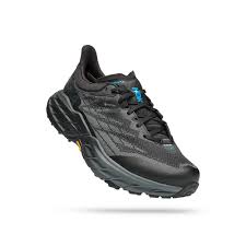 Men's Speedgoat 5 GTX