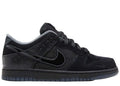 Nike Dunk Low Ducks of A Feather Black University of Oregon PE